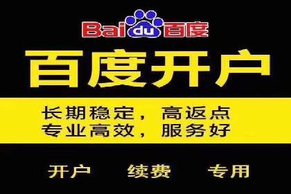 SEM运营推广策略案例分析